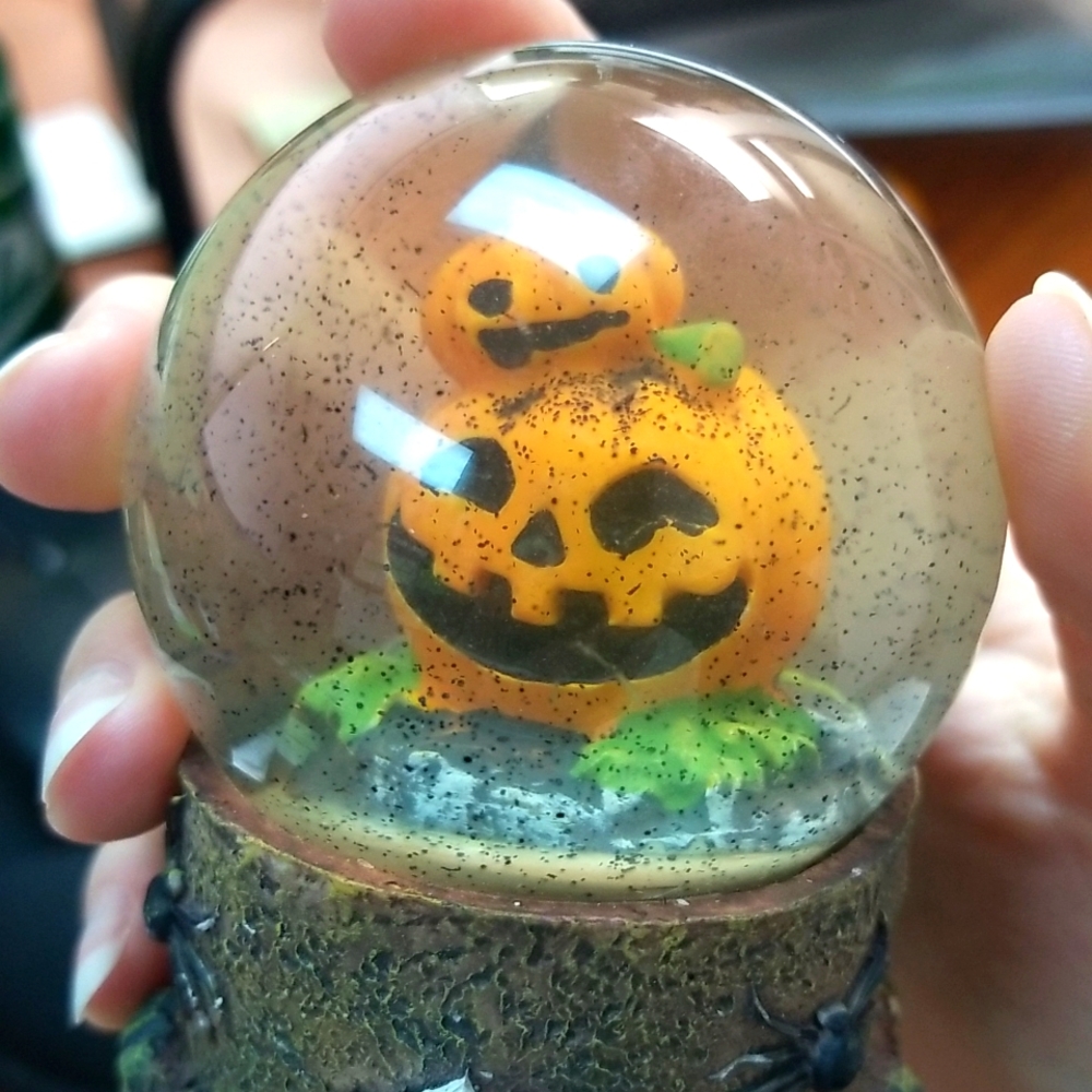 Mini Pumpkin Globe Fall Decor Cottagecore Halloween Harvest Decoration NWT Copy